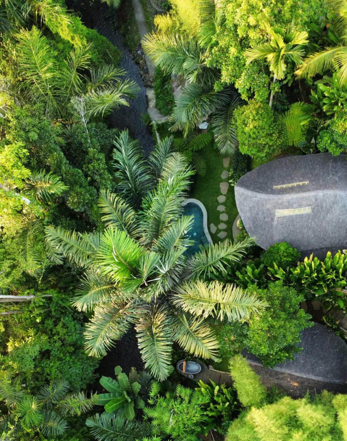 Wahem Eco Bamboo - Magical Bamboo House Ubud Bali 빌라 외부 사진